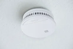 Abus Rookmelder Rwm150-Brico Online