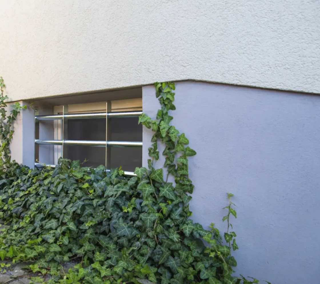 Abus Vensterrooster Fgi5300 500-650X300Mm-Brico Outlet