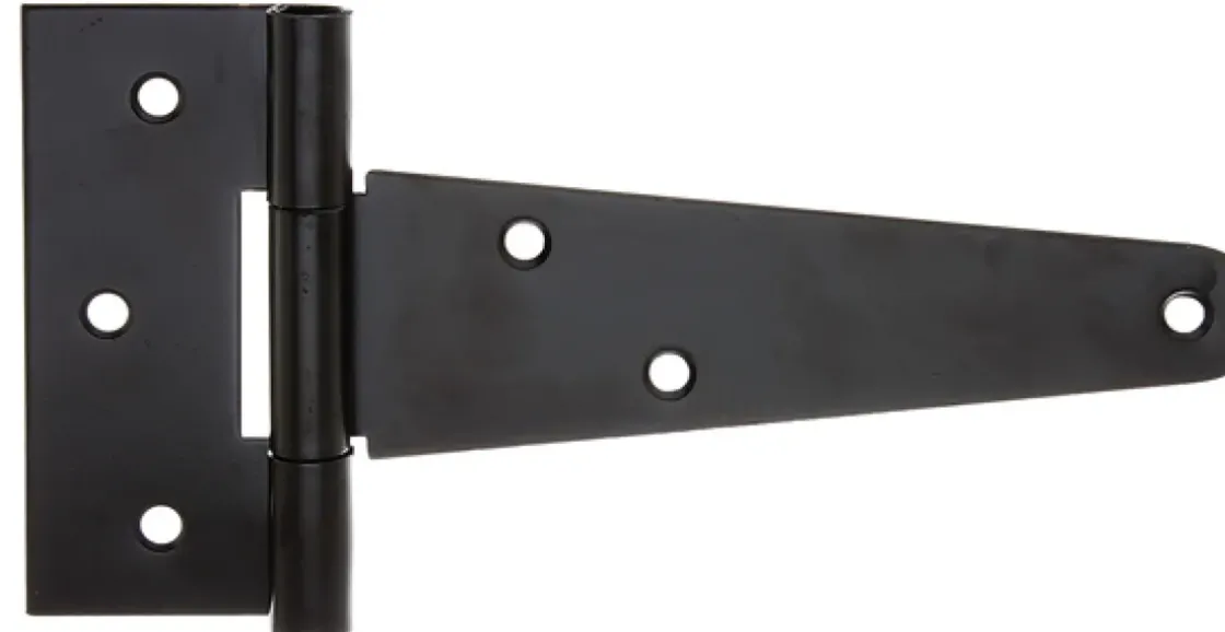 Alberts Lang Scharnier + Geniete Pen 202/77X48Mm-Brico Sale