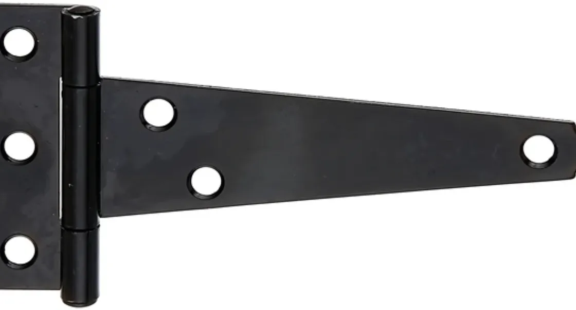 Alberts Staartscharnier Staal Verzinkt O2,5Mm-Brico Discount