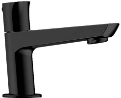 Brico Allibert Toiletkraan Vision Zwart Mat Best