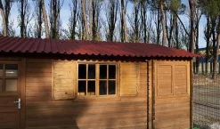 Brico Aquaplan Golfplaat Topline Rood 86X200Cm Clearance