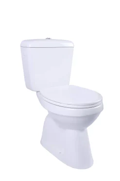 Brico Aquavive Duoblok Toilet Ippari I Ao Aansluiting I Soft-Close Toiletzitting Wit