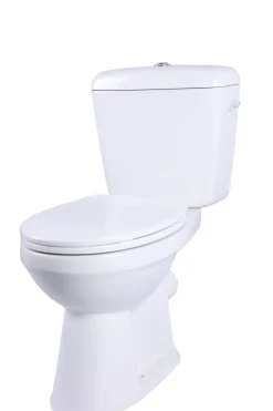 Brico Aquavive Duoblok Toilet Ippari I Pk Aansluiting I Soft-Close Toiletzitting Wit Hot