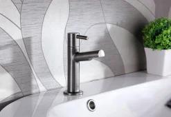 Brico Aquavive Fonteinkraan Toce Gun Metal Best