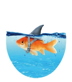 Brico Aquavive Toiletzitting Vis/Haai Duroplast Blauw New