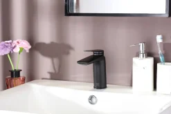 Brico Aquavive Wastafelmengkraan Irminio R Laag Zwart Best