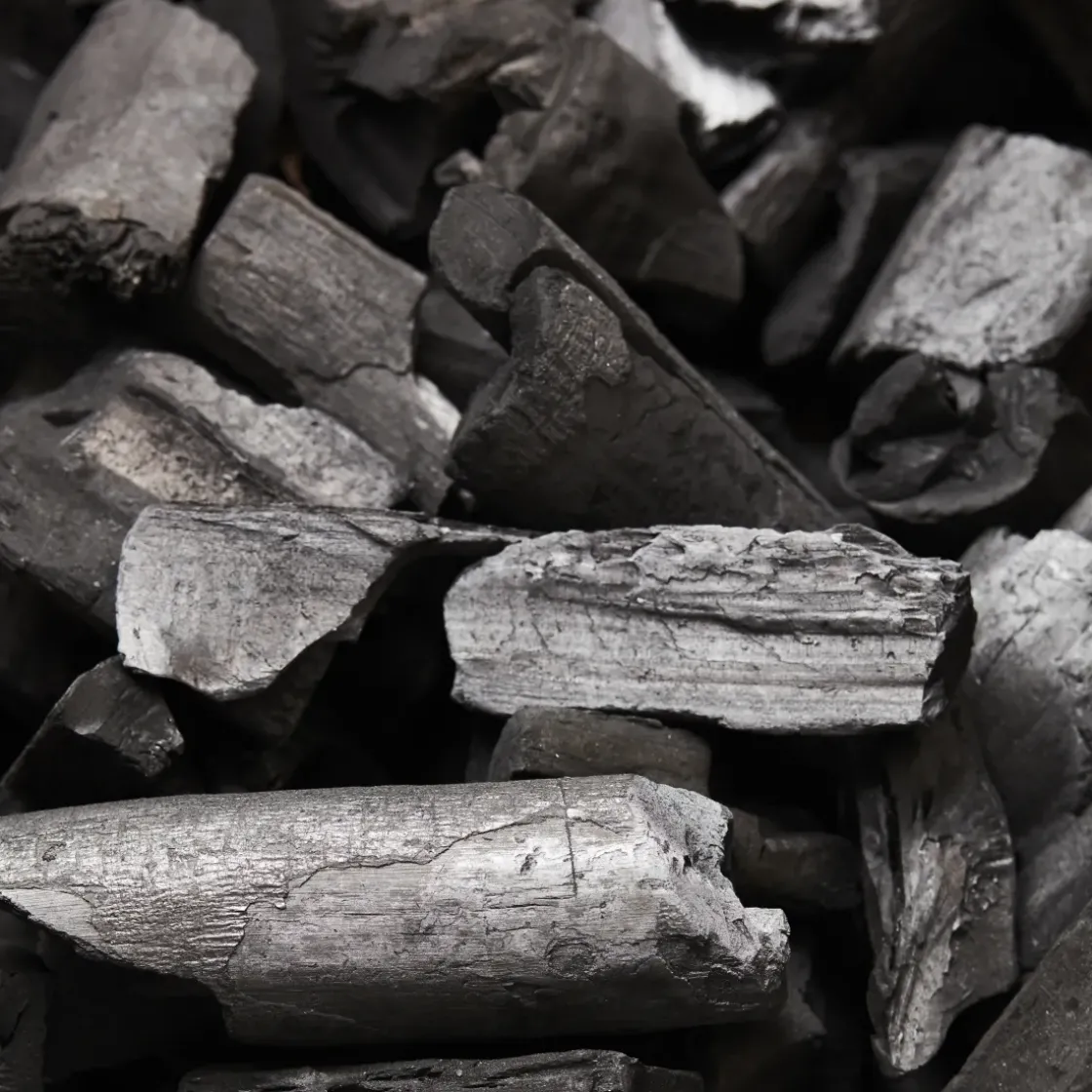 Barbecook Houtskool Premium Fsc 6Kg-Brico Clearance