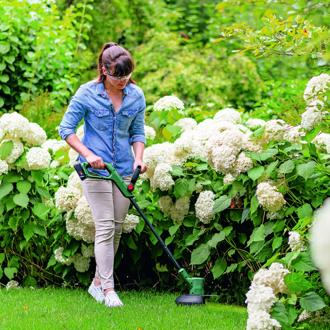 Brico Bosch Grastrimmer Easygrasscut 18V-26 18V 2,5Ah Li-Ion + Lader Clearance