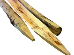 Cartri Tuinpaal Kastanjehout 180X12X10Cm-Brico