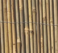 Central Park Afsluiting Wilg 1X5M-Brico Hot