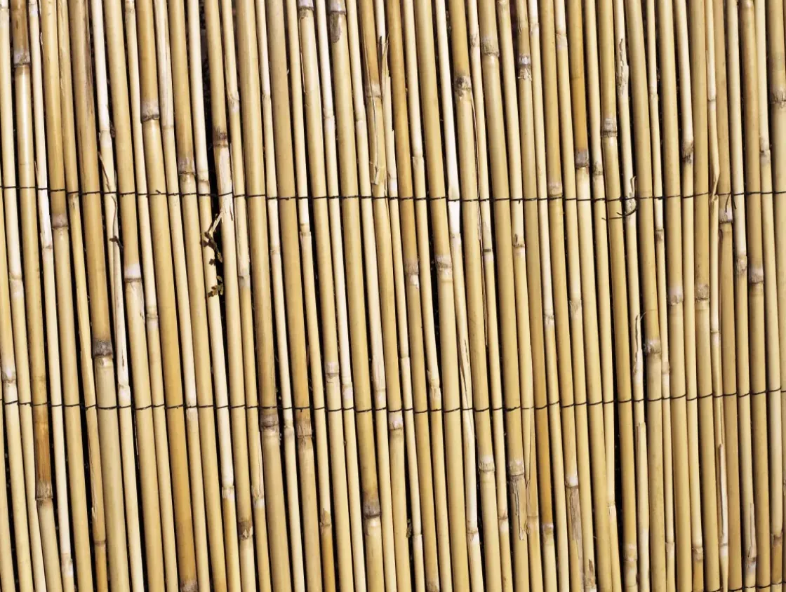 Central Park Balkonscherm Gepeld Riet 2X5M-Brico Outlet