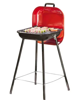 Central Park Barbecue Pic Nic Rood 42X42Cm-Brico Best