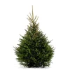 Brico Central Park Kerstboom Epicea 125-150Cm New