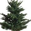 Brico Central Park Kerstboom Nobilis 125-150Cm Outlet