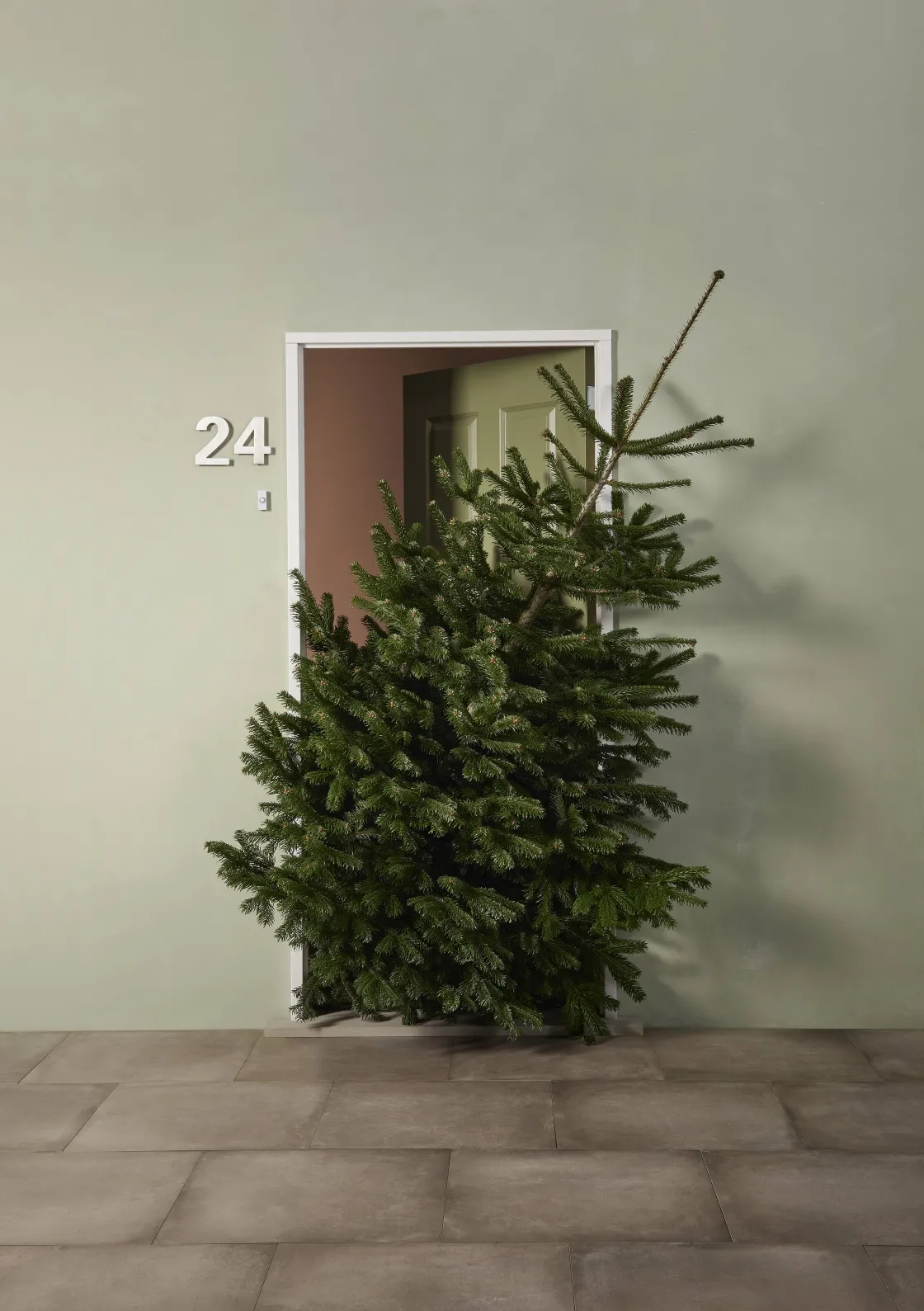 Brico Central Park Kerstboom Nordmann 80-100Cm Online