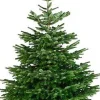 Brico Central Park Kerstboom Nordmann 175-200Cm Discount