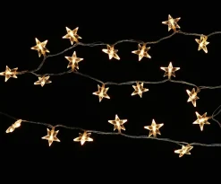 Brico Central Park Kerstverlichting Ster Acryl 100 Lampjes 13M Best