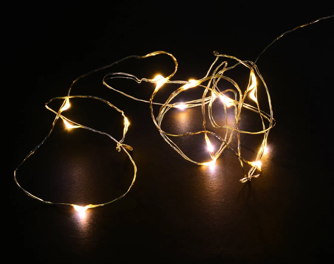 Brico Central Park Lichtslinger 40 Led 4M Online