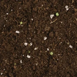 Compo Bio Potgrond Ca. 50% Lichter 40L-Brico