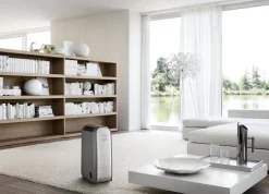 Brico De'Longhi Luchtontvochtiger Dns80 Outlet