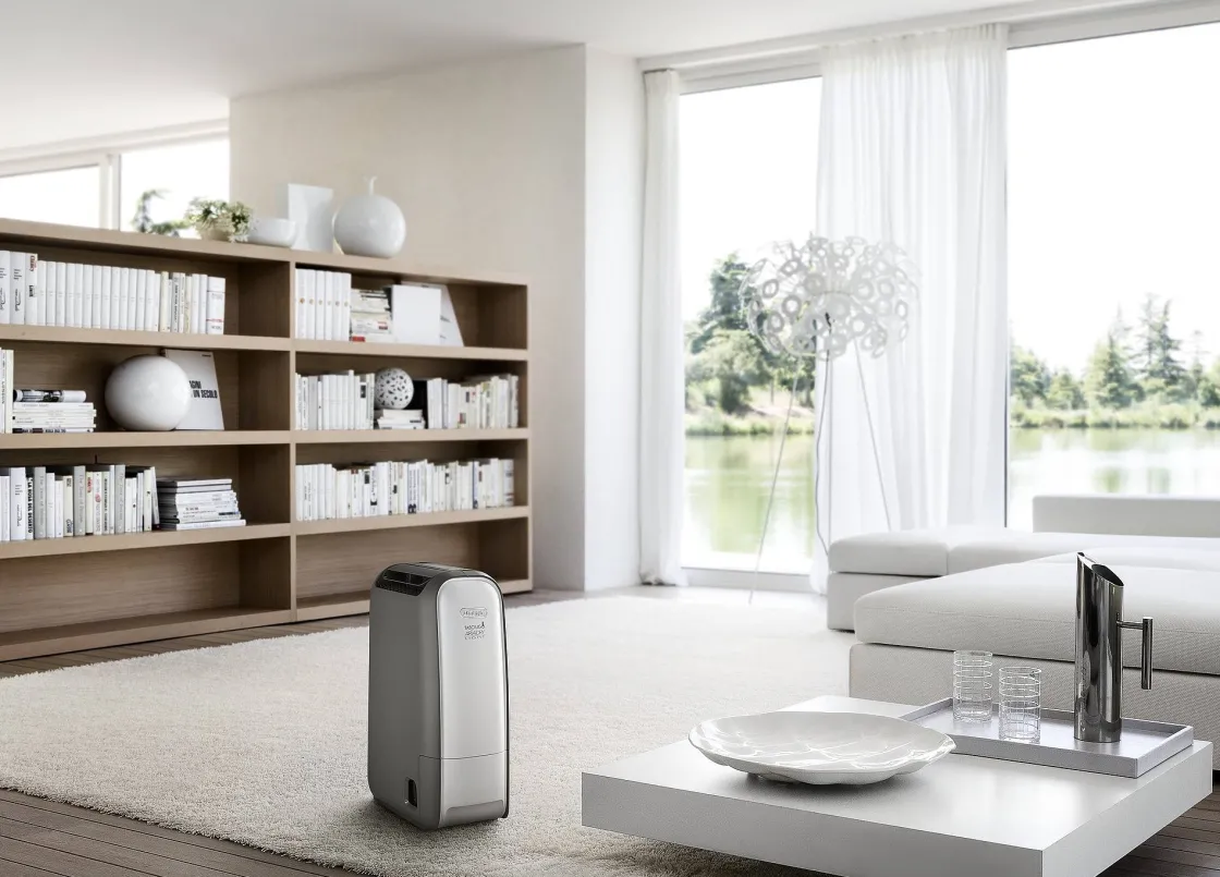 Brico De'Longhi Luchtontvochtiger Dns80 Outlet