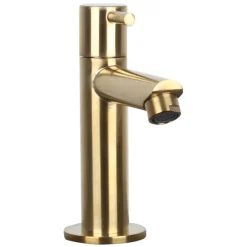 Brico Differnz Fonteinkraan Mix&Match Recht Goud Mat New