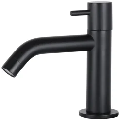 Brico Differnz Fonteinkraan Mix&Match Gebogen Zwart Mat Clearance