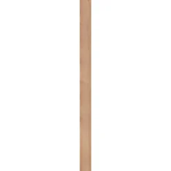 Brico Douglas Plank Ruw 19X300Cm 22Mm Online