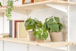 Brico Duraline F-Drager Dubbel Wit 27Cm Outlet