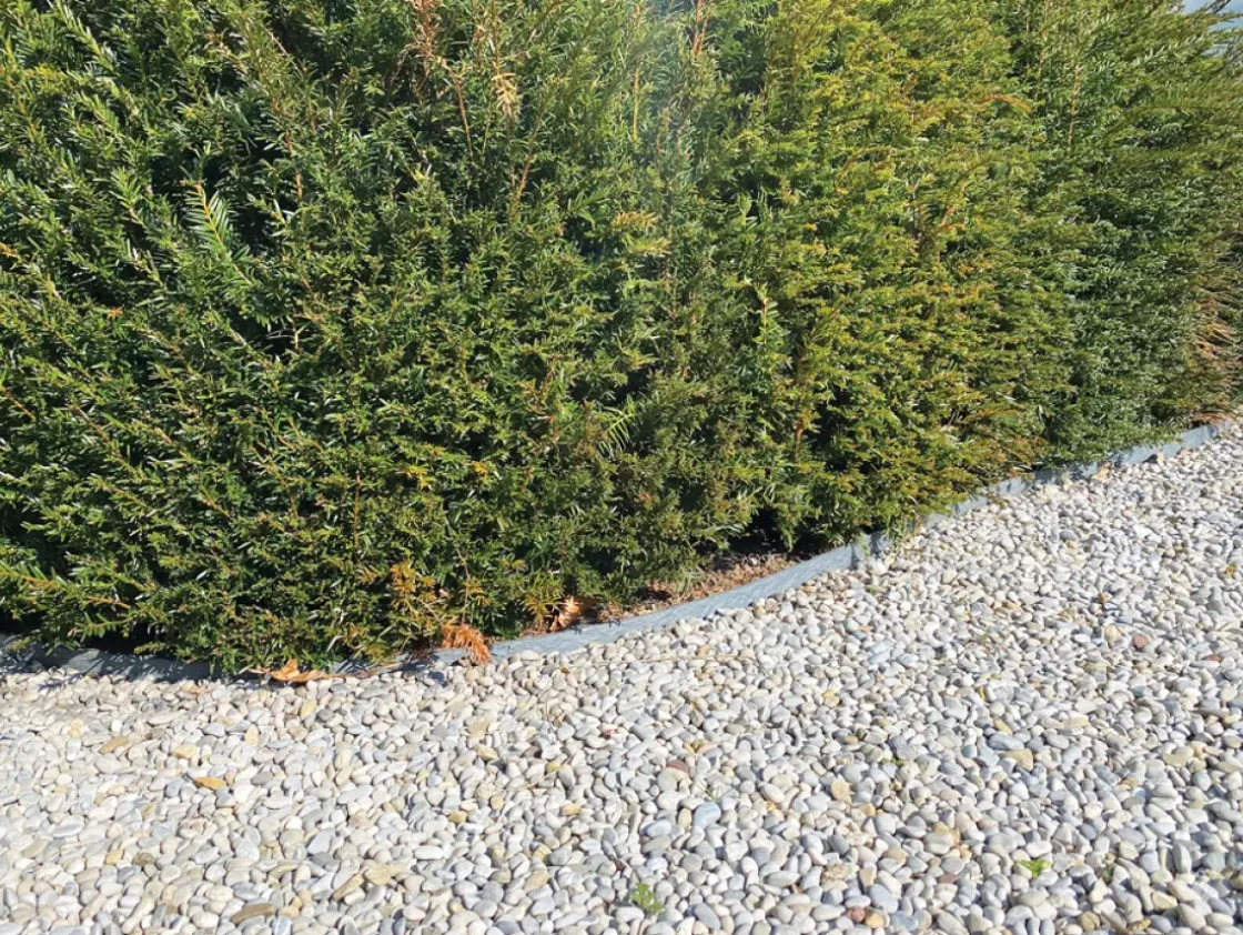 Eco Edge Kantopsluiting Rol - Zwart - 1000 X 14 X 0,7 Cm-Brico Outlet