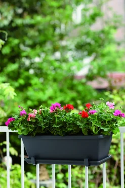 Elho Balkonbak Barcelona 70Cm Antraciet-Brico Outlet