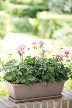 Elho Balkonbak Barcelona 70Cm Taupe-Brico Outlet