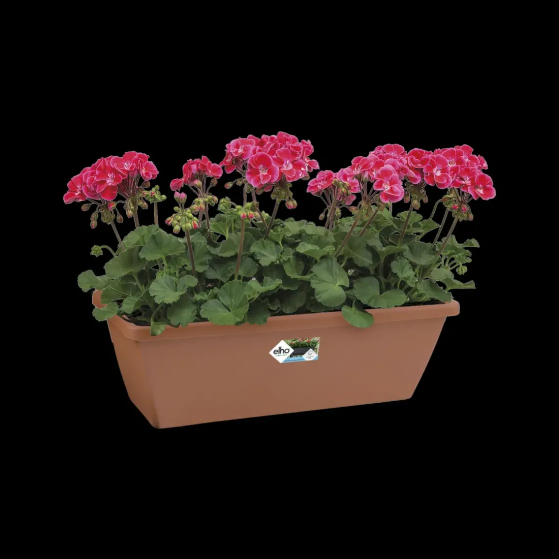 Elho Balkonbak Barcelona 50Cm Terra-Brico Hot