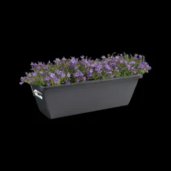 Elho Balkonbak Barcelona 90Cm Antraciet-Brico Discount