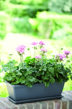 Elho Balkonbak Barcelona 90Cm Antraciet-Brico Discount