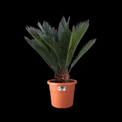 Elho Bloempot Algarve Cilindro Rond Wielen O40Cm Terra-Brico