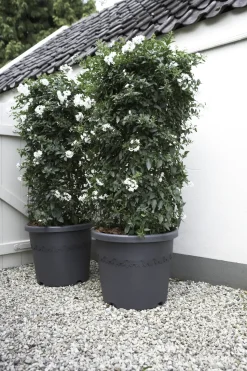 Elho Bloempot Algarve Cilindro Rond O30Cm Antraciet-Brico New