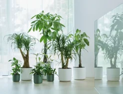 Elho Bloempot B. For Soft Rond O14Cm Groen-Brico Sale