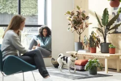 Elho Bloempot B. For Soft Rond O14Cm Antraciet-Brico Hot