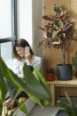 Elho Bloempot B.For Soft Rond O30Cm Antraciet-Brico Clearance