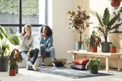 Elho Bloempot B.For Soft Rond O30Cm Antraciet-Brico Clearance