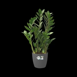 Elho Bloempot Brussels Rond Wielen O35Cm Antraciet-Brico New