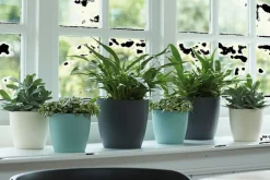 Elho Bloempot Brussels Rond O16Cm Antraciet-Brico Outlet