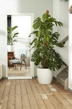 Elho Bloempot Brussels Rond Wielen O35Cm Wit-Brico Clearance