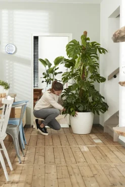 Elho Bloempot Brussels Rond Wielen O35Cm Wit-Brico Clearance