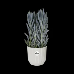 Elho Bloempot Vibes Fold Rond O30Cm Wit-Brico Outlet