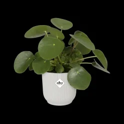 Elho Bloempot Vibes Fold Rond O30Cm Wit-Brico Outlet