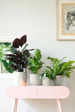 Elho Bloempot Vibes Fold Rond O30Cm Wit-Brico Outlet