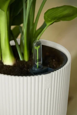 Elho Bloempot Vibes Fold Rond O30Cm Wit-Brico Outlet